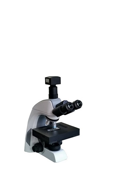 扫描显微镜